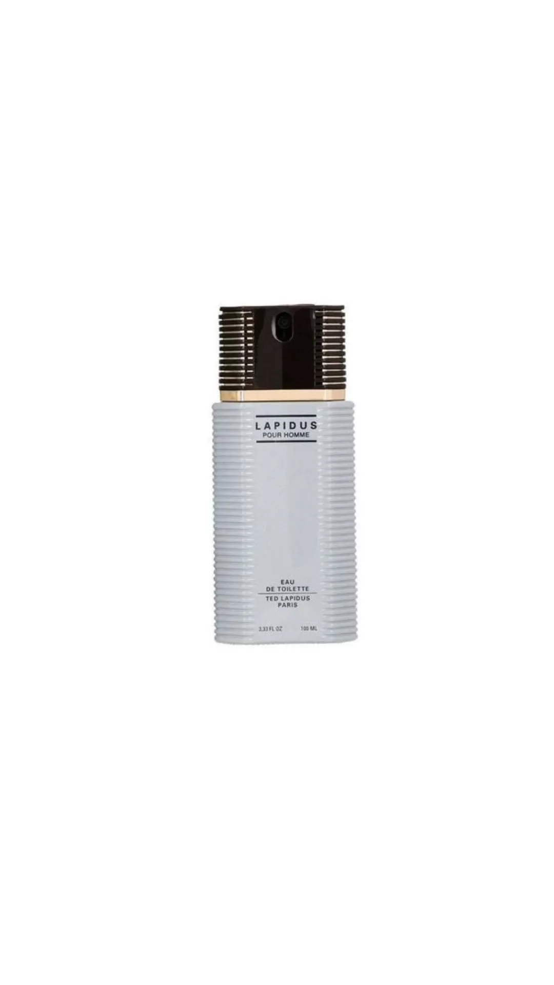 Lapidus Pour Homme Eau De Toilette Masculino 100ml - Ted Lapidus